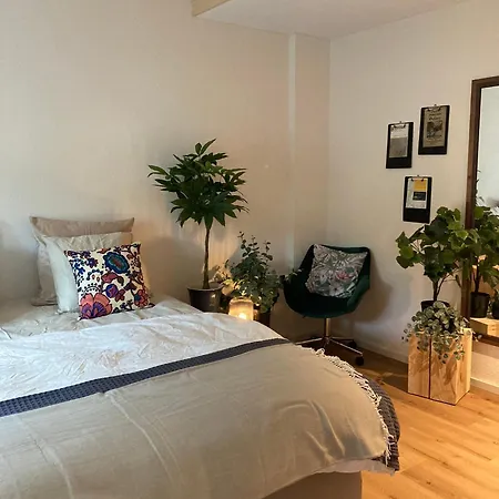 Lägenhetshotell Gantrisch Ottenleuebad 3*