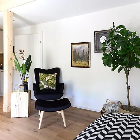 Lägenhetshotell Gantrisch Ottenleuebad