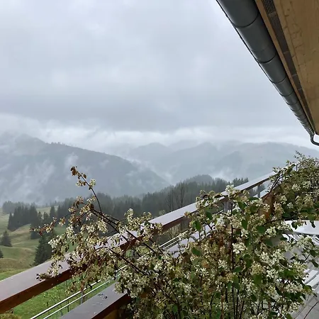 Gantrisch Ottenleuebad Aparthotel 3*