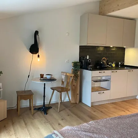 Aparthotel Gantrisch Ottenleuebad 3*